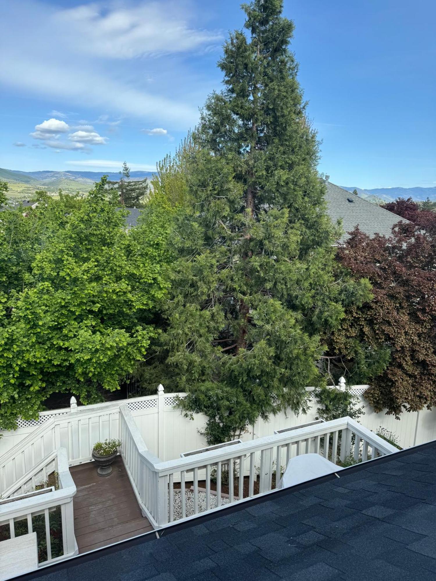 Bayberry Inn B&B And Oregon Wellness Retreat Ашленд Екстериор снимка